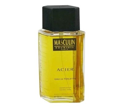 Bourjois Masculin Acier 100937