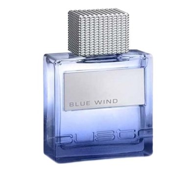 Custo Barcelona Blue Wind