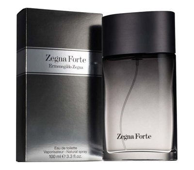 Ermenegildo Zegna Forte man 107318