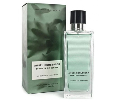 Angel Schlesser Esprit De Gingembre Men 186455